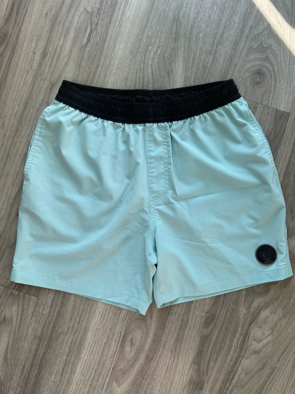 chubbies | Ultimate Training 5.5" Shorts in Light Aqua with Black Waistband (S) - Picture 6 of 10